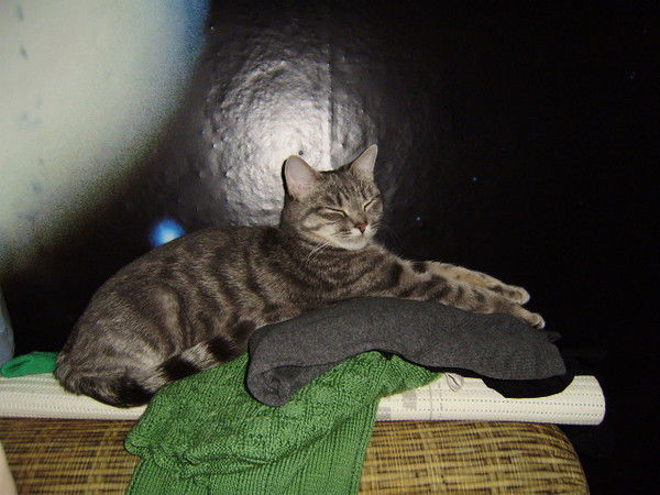 Виктор Балакирев