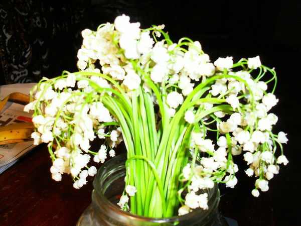 Нияз Шарифуллин