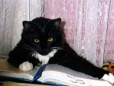 Светлана Ивченко