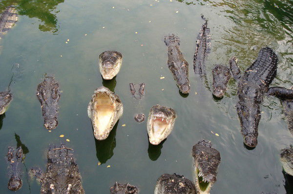 Александр Семириков