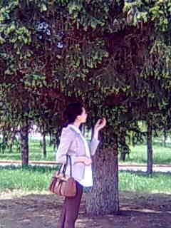 Аскар Бейсикеев