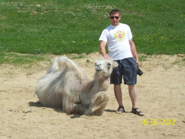 Александр Гредас