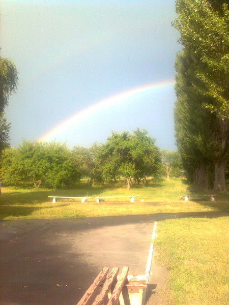 Александра Гулий