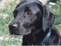 Айнур Салахутдинов