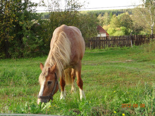 *****ольга *****