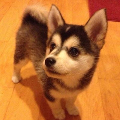 Артур Чорний