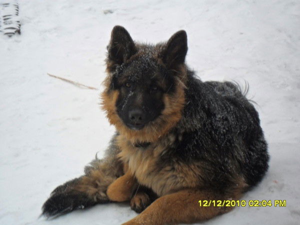 Евгений Олейник