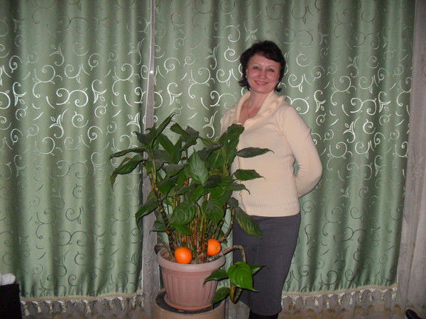 Елена Колесникова