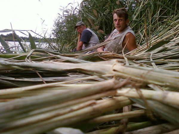 Игорь Суслов