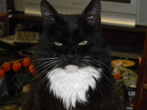 Александр Клюквин.