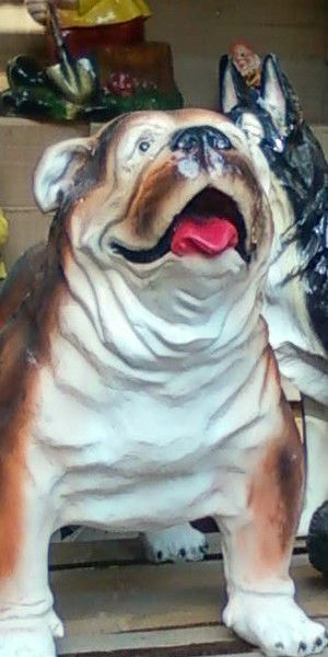 Виктор Аношин