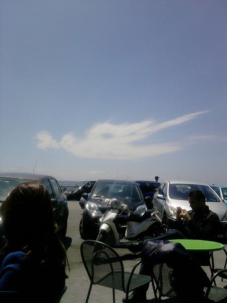 Нина Шеванюк