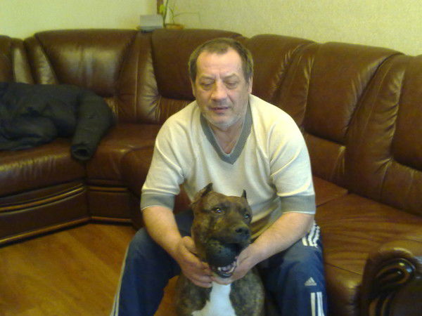 Ислам Мамедов