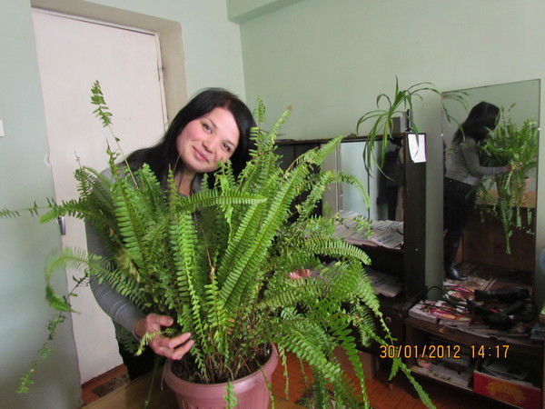 Наргис Жаборова