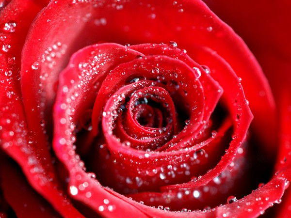 Людмила Кайгородцева