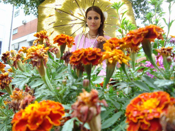 Ананда Гаури Дд Пацула