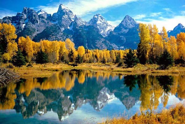 Александр Ильякин