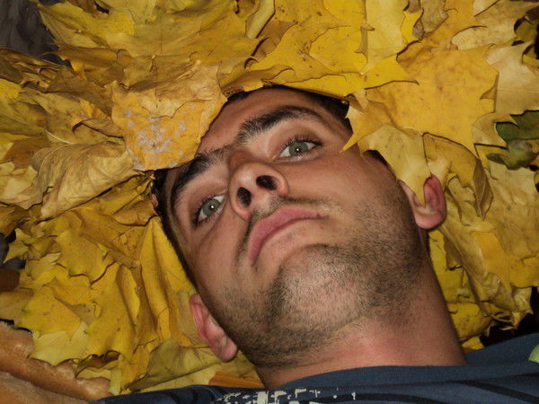 Сергей Онищенко