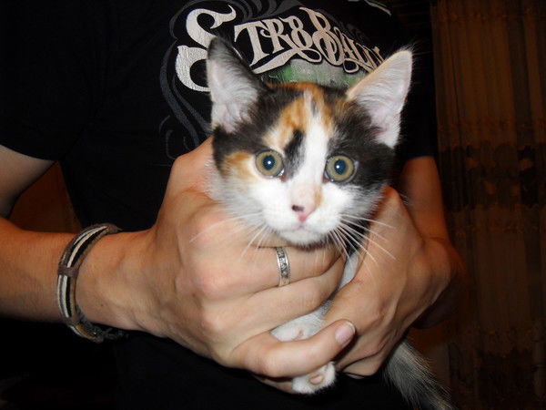 Анна Сельдемирова