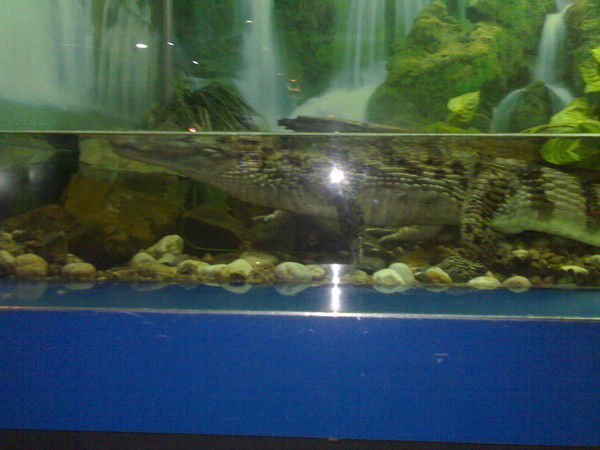 Майрамбай Сарсенбаев