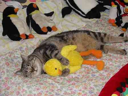 Марина Лындина