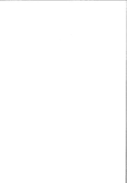 Денис Каминский