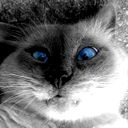 Владимир Бондаренко