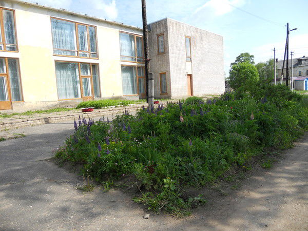 Мошковская Библиотека