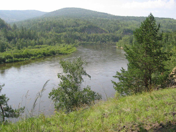 Аля Щипанова