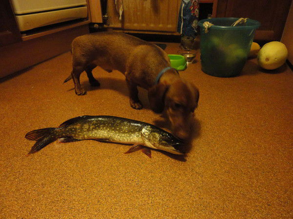 Антон Иванов