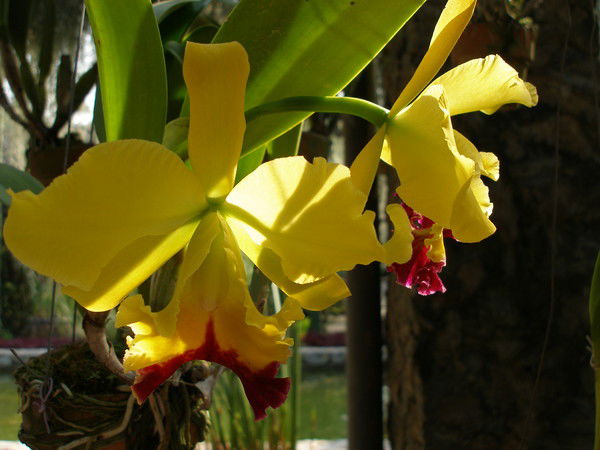 Анна Степкина