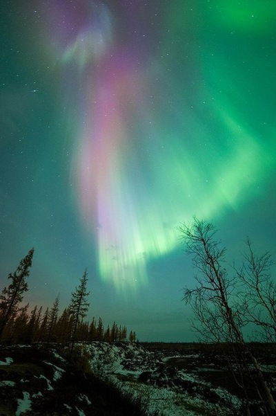 Алина Ильина