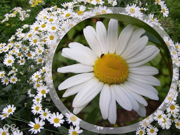 Зоя Солоницына