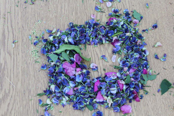 Екатерина Гребенёва