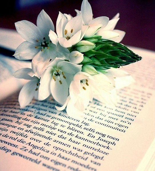 Амангул Сейткажы