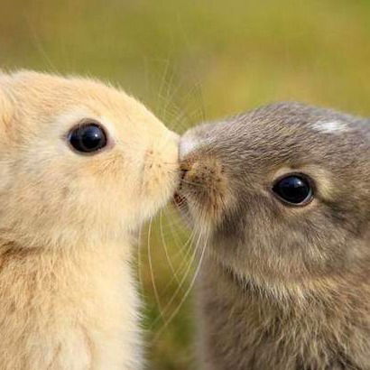 Анастасия Коровина