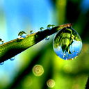 Кудус Магаметов