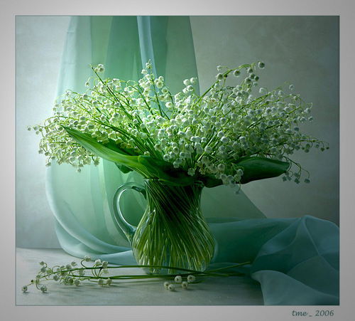 Ирина Бадоян