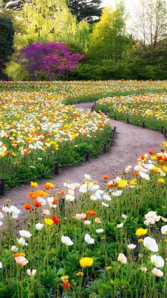 Нилуфар Юнусалиева