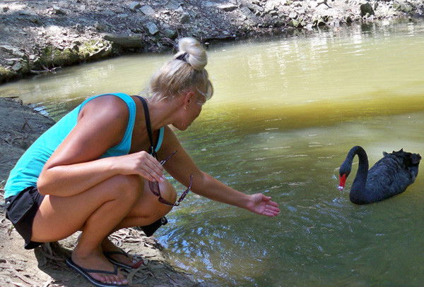 Светлана Суровцева