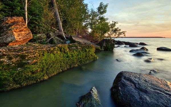 Фикрет Аббасов