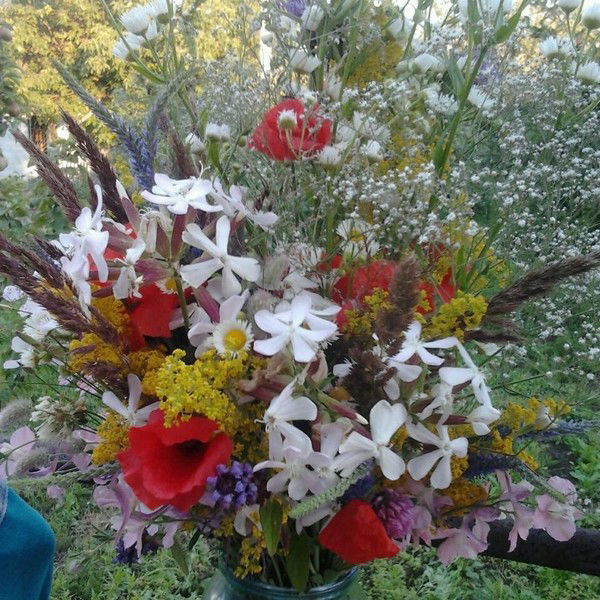 Сазонова Ольга /