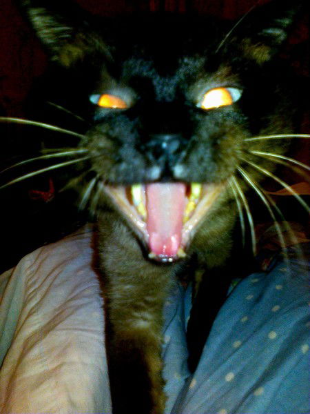 Вадим Уткин