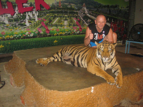 Александр Володько