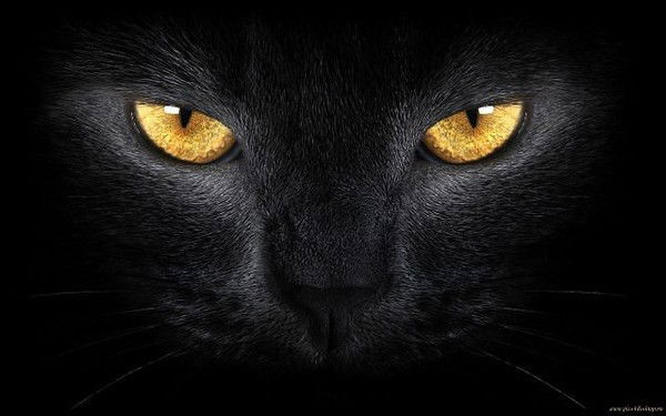 Елена Байдина