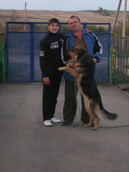 Сергей Горло