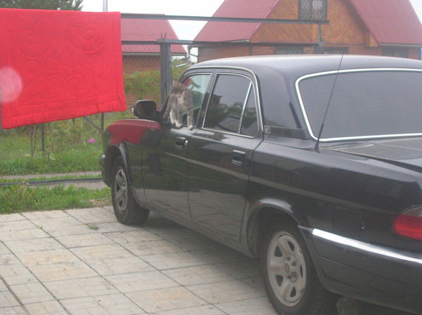 Пашка Вельский