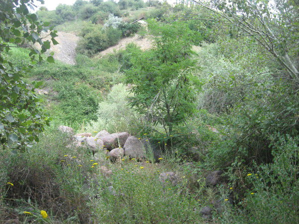 Умарали Кадыров