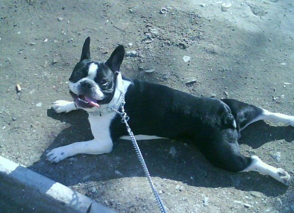 Юлия Зеличенко