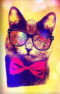 Макар Солотов